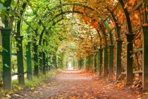 effects of changing seasons on chronic pain